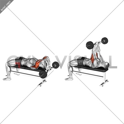 EZ Bar Lying Close Grip Triceps Extension Behind Head