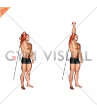 Cable Standing Reverse Grip One Arm Overhead Tricep Extension
