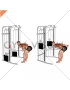 Cable Two Arm Tricep Kickback