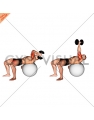 Dumbbell One Arm French Press on Exercise Ball