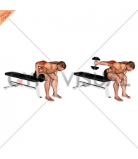 Dumbbell Seated Bent Over Triceps Extension