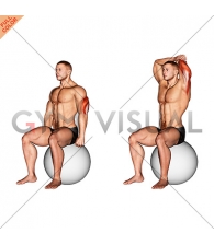 Exercise Ball Seated Triceps Stretch
