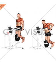 Weighted Tricep Dips