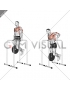 Weighted Triceps Dip on High Parallel Bars
