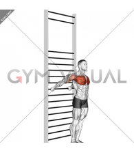Standing Chest Stretch (with Training Wall Bars)