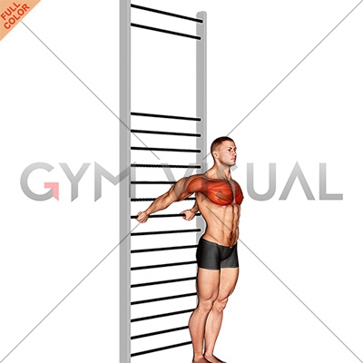 chest stretch on wall
