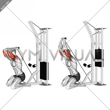 Cable Kneeling Triceps Extension (VERSION 2)