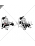 Lever Seated Hip Adduction (VERSION 2)