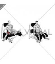 Lever Seated Hip Adduction (VERSION 2)