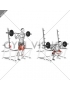 Barbell Low Bar Squat with Rack