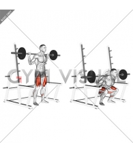 Barbell Low Bar Squat with Rack