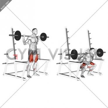 Barbell Low Bar Squat with Rack