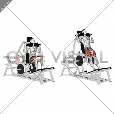 Lever Squat (plate loaded)