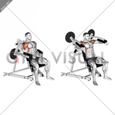Lever Lateral Raise (plate loaded)