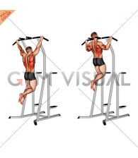 Wide Grip Pull-Up on Dip Cage