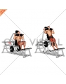 Lever Squat (plate loaded)