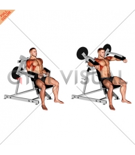 Lever Lateral Raise (plate loaded)