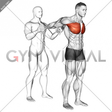 Assisted Standing Chest Stretch
