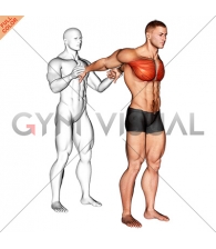 Assisted Standing Chest Stretch