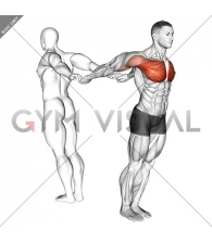 Assisted Pulling Backs Chest Stretch