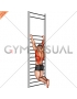 Two handed hang back stretch (with Training Wall Bars)