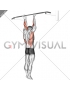 Supination Bar Suspension Stretch