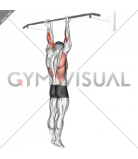 Supination Bar Suspension Stretch