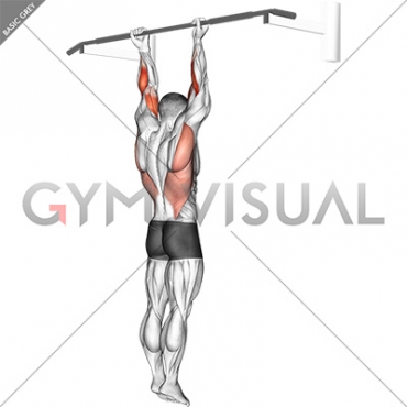 Supination Bar Suspension Stretch