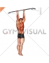 Supination Bar Suspension Stretch