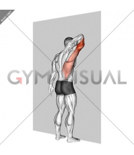 Triceps Stretch Against Wall