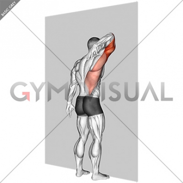 Triceps Stretch Against Wall