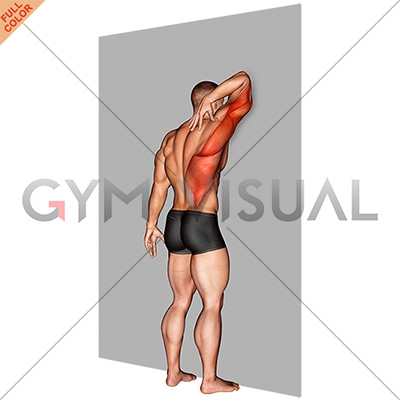 https://gymvisual.com/7929-thickbox_default/triceps-stretch-against-wall.jpg