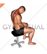 Sitting Neck Flexion Stretch