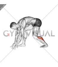 Crouching Heel Back Achilles Stretch