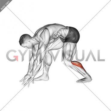 Crouching Heel Back Achilles Stretch