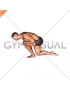 Kneeling Heel Down Achilles Stretch