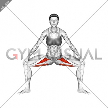 Standing Wide Knees Adductor Stretch