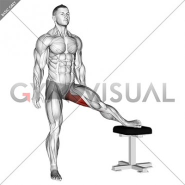 Standing Leg Up Adductor Stretch