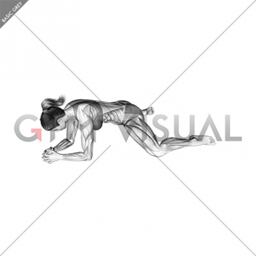 Kneeling Face Down Adductor Stretch