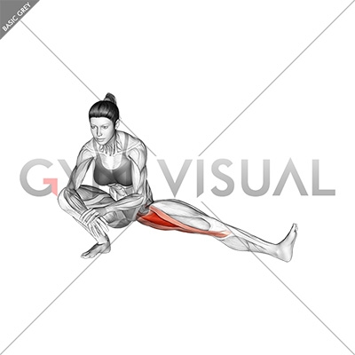 https://gymvisual.com/8056-thickbox_default/abduction-of-one-leg-flexion-stretch.jpg