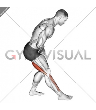 Standing Toe Down Hamstring Stretch