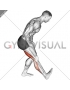 Standing Toe Up Hamstring Stretch