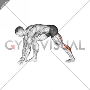 Crouching Heel Back Calf Stretch