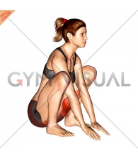 Hip And Knee Flexion Squatting Stretch