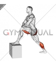 Standing Hip Flexor Stretch