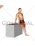 Supported One Leg Standing Hip Flexor And Knee Extensor Stretch