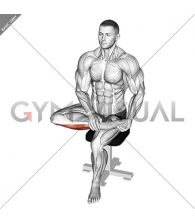 Seated Toe Extensor And Foot Everter Stretch