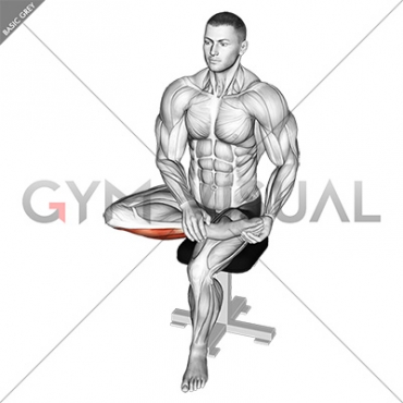 Seated Toe Extensor And Foot Everter Stretch