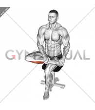 Seated Toe Extensor And Foot Inverter Stretch