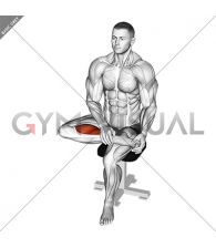 Seated Toe Flexor Stretch